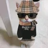 xarkuzz