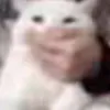 potatowith_ketchup1