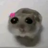 jmyziop