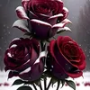user3142498880666