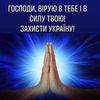 user260952520