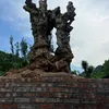 hoahung0091