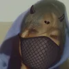 elayysuu
