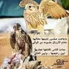 user016328997