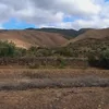 mahdirca8
