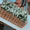 kcha_zebarii12