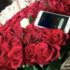 user845647120