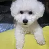 prehardening5
