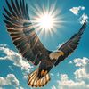 mehtabkhan12356gmail.com
