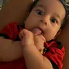 araujvx