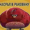 hasralvrakoviny123