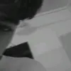 zai___66
