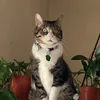 miki_00__