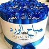 hibaelhassani2
