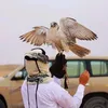 omaralgaisi1