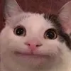 olofjayson1