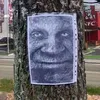 frolfox