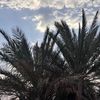 as_wx5