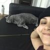 carissa.lintao