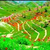 zabiheidari8