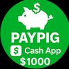 Pay 💰 pig 🐷 💵