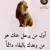 abdlstar04