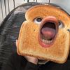 gabrieeev_