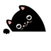 carmin_n