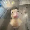 cim0ry4
