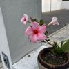annfuetz