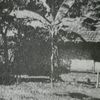 thesultandahlan