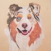 chloe_the_tiger