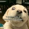 its_me_too7