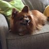 aandmypom