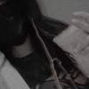 adrimontalvo03