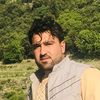 auk.shinwari