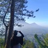 haainanass