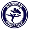 Weybridge Gymnastics Club