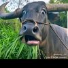 ej_arjuna