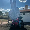 thiagoevelin