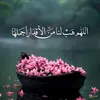 saida16_11