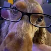 evertbaptist1
