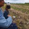jusliasiahaan