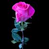 user14612570