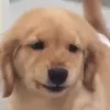 ialreadyknowthatthing