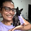 rozi_pinscher_micros_go