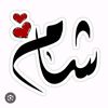 mirzasham01