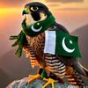 shazullah.khan3