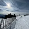 laurie_1111