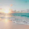 michaelf050877